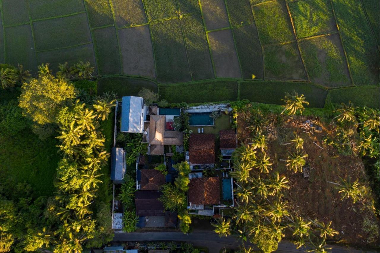 Villa O'Hea Ubud Bagian luar foto